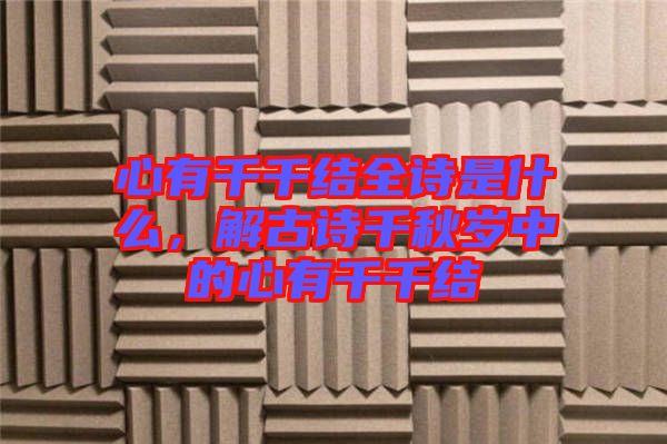 心有千千結(jié)全詩是什么，解古詩千秋歲中的心有千千結(jié)