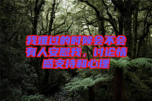 我難過(guò)的時(shí)候會(huì)不會(huì)有人安慰我，討論情感支持和心理