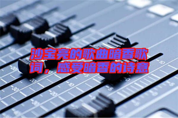 沙寶亮的歌曲暗香歌詞，感受暗香的詩意