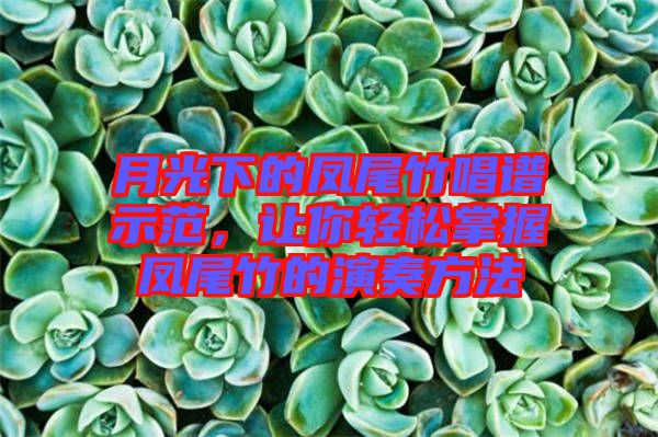 月光下的鳳尾竹唱譜示范，讓你輕松掌握鳳尾竹的演奏方法