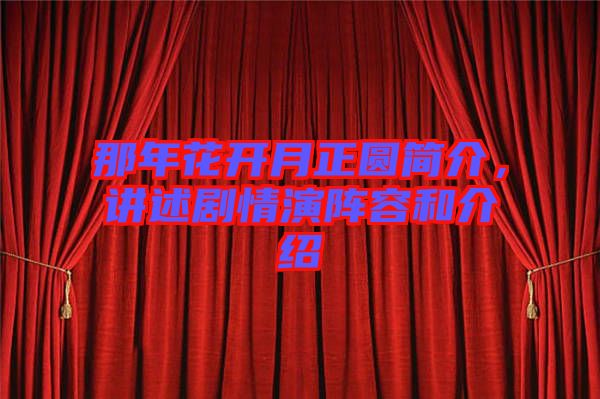 那年花開月正圓簡介，講述劇情演陣容和介紹