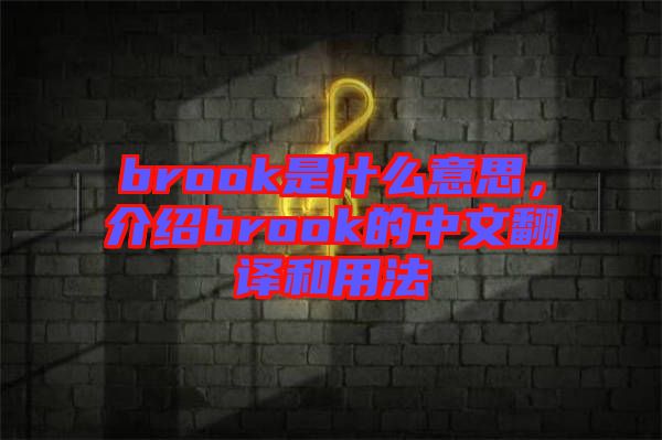 brook是什么意思，介紹brook的中文翻譯和用法