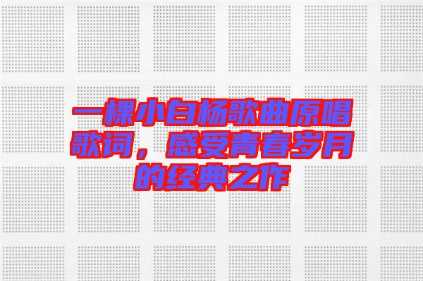 一棵小白楊歌曲原唱歌詞，感受青春歲月的經(jīng)典之作