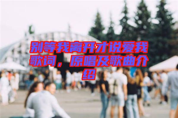 別等我離開才說愛我歌詞，原唱及歌曲介紹