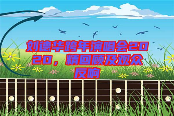 劉德華跨年演唱會(huì)2020，精回顧及觀眾反響