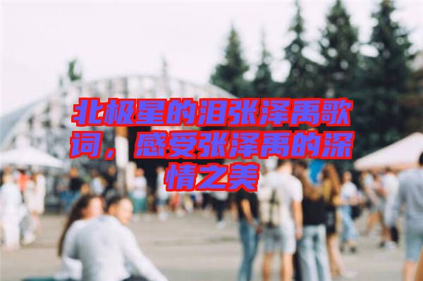 北極星的淚張澤禹歌詞，感受張澤禹的深情之美