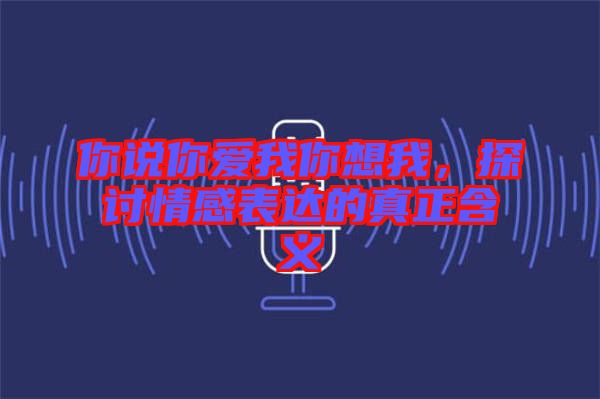你說你愛我你想我，探討情感表達(dá)的真正含義