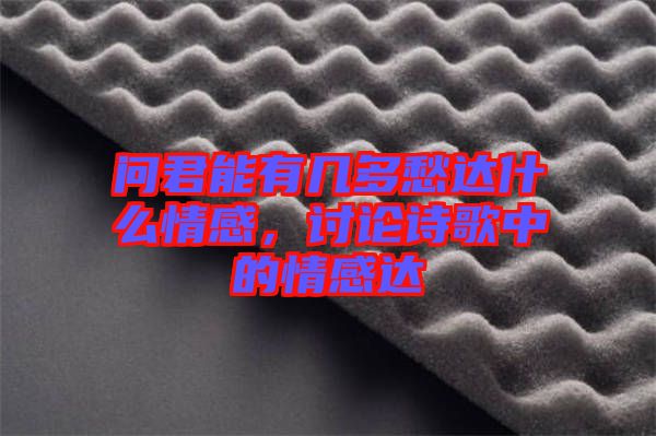 問(wèn)君能有幾多愁達(dá)什么情感，討論詩(shī)歌中的情感達(dá)