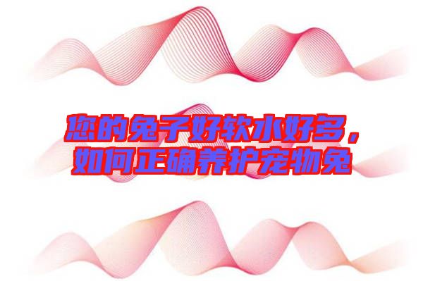 您的兔子好軟水好多，如何正確養(yǎng)護寵物兔