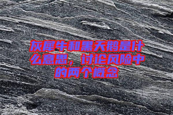 灰犀牛和黑天鵝是什么意思，討論風(fēng)險(xiǎn)中的兩個(gè)概念