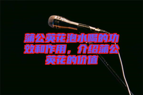 蒲公英花泡水喝的功效和作用，介紹蒲公英花的價值