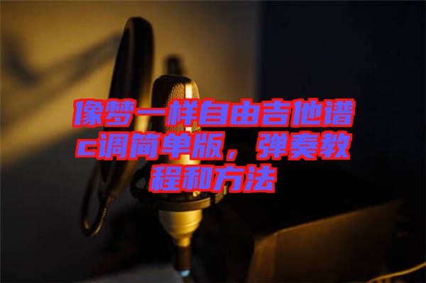 像夢一樣自由吉他譜c調(diào)簡單版，彈奏教程和方法