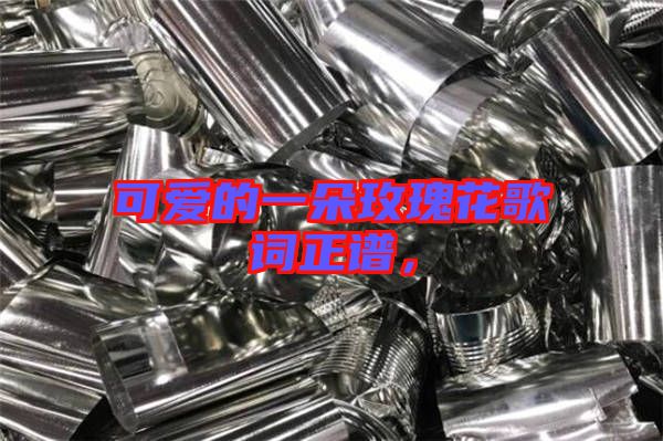 可愛的一朵玫瑰花歌詞正譜，