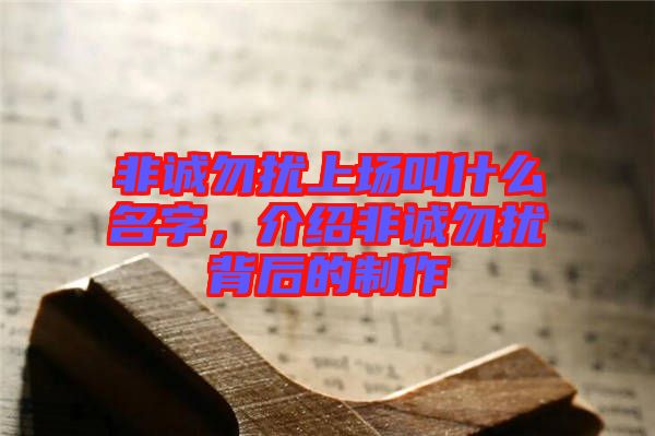 非誠勿擾上場叫什么名字，介紹非誠勿擾背后的制作