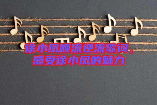 徐小鳳順流逆流歌詞，感受徐小鳳的魅力
