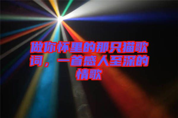 做你懷里的那只貓歌詞，一首感人至深的情歌