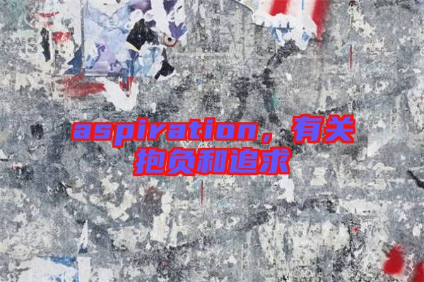 aspiration，有關(guān)抱負和追求