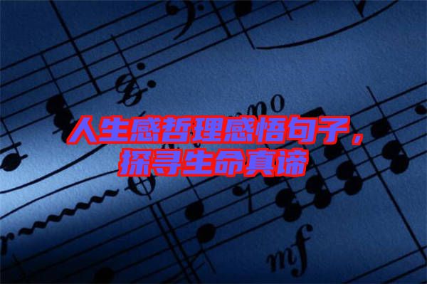 人生感哲理感悟句子，探尋生命真諦