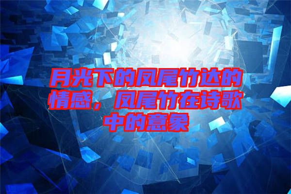 月光下的鳳尾竹達(dá)的情感，鳳尾竹在詩(shī)歌中的意象