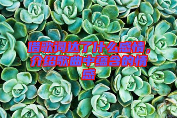 借歌詞達(dá)了什么感情，介紹歌曲中蘊(yùn)含的情感
