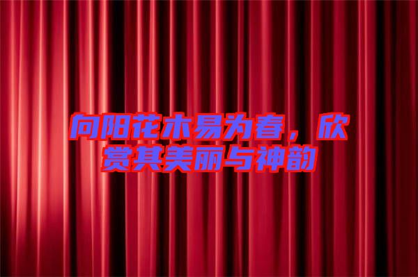 向陽花木易為春，欣賞其美麗與神韻