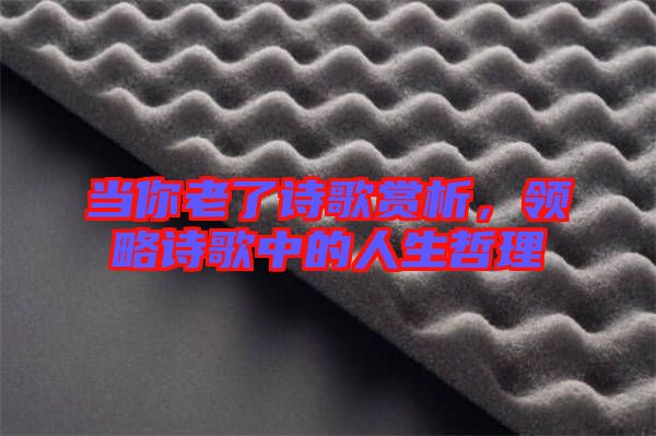 當你老了詩歌賞析，領略詩歌中的人生哲理