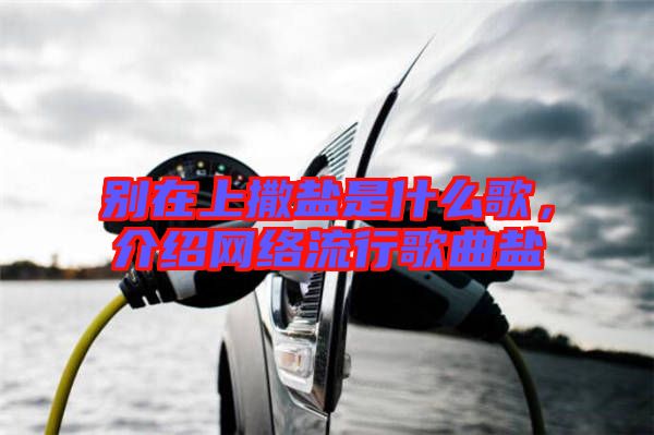 別在上撒鹽是什么歌，介紹網(wǎng)絡(luò)流行歌曲鹽