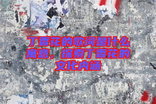 丁香花的歌詞是什么寓意，探索丁香花的文化內(nèi)涵