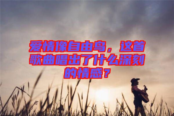 愛情像自由鳥，這首歌曲唱出了什么深刻的情感？