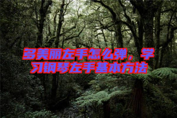 多美麗左手怎么彈，學習鋼琴左手基本方法