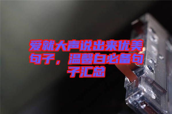 愛(ài)就大聲說(shuō)出來(lái)優(yōu)美句子，溫馨白必備句子匯總