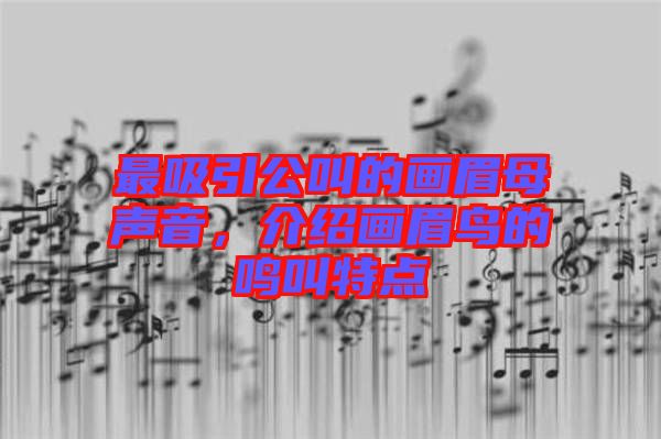 最吸引公叫的畫眉母聲音，介紹畫眉鳥的鳴叫特點
