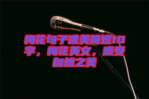梅花句子唯美簡(jiǎn)短10字，梅花美文，感受自然之美