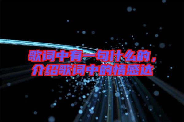 歌詞中有一句什么的，介紹歌詞中的情感達