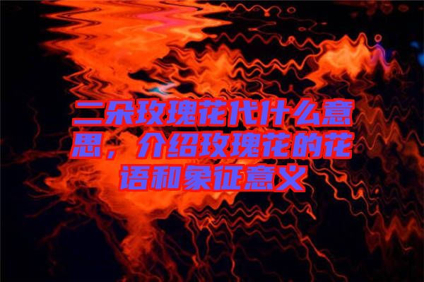 二朵玫瑰花代什么意思，介紹玫瑰花的花語和象征意義