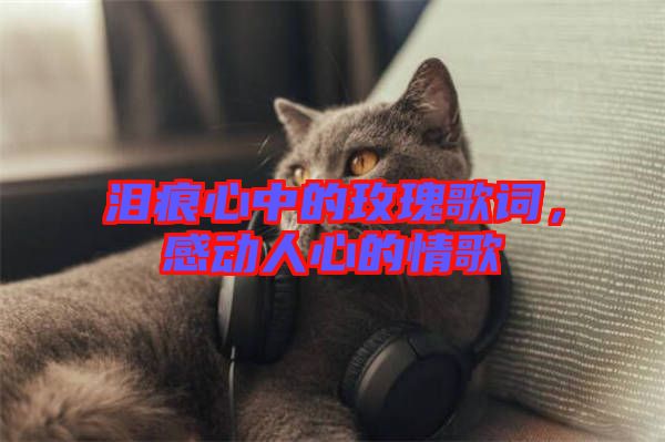 淚痕心中的玫瑰歌詞，感動(dòng)人心的情歌