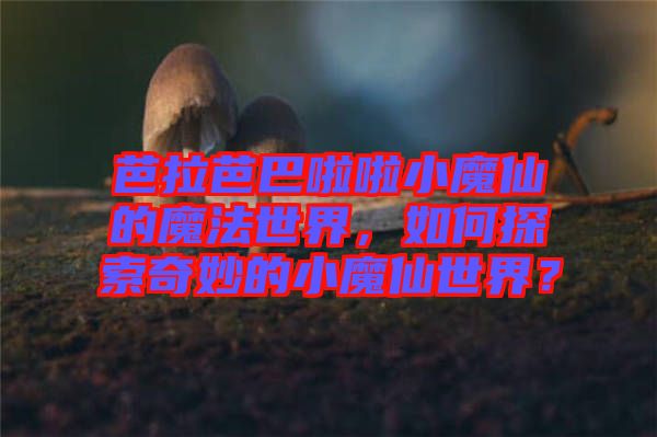 芭拉芭巴啦啦小魔仙的魔法世界，如何探索奇妙的小魔仙世界？