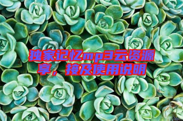 獨(dú)家記憶mp3云資源享，接及使用說明