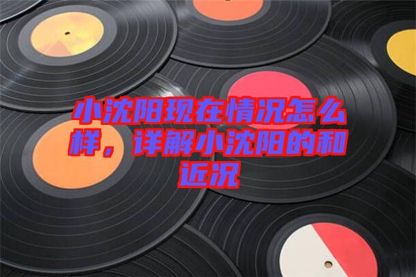 小沈陽現(xiàn)在情況怎么樣，詳解小沈陽的和近況