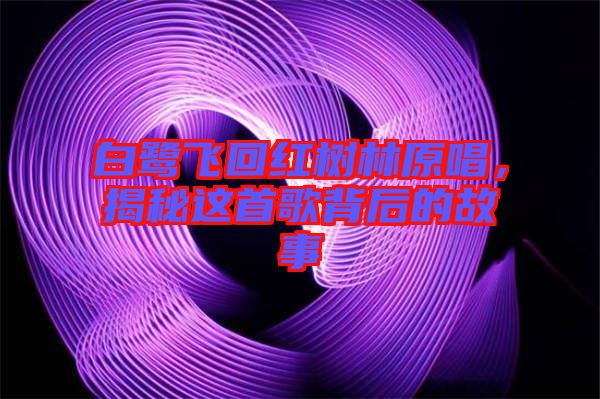白鷺飛回紅樹林原唱，揭秘這首歌背后的故事