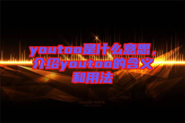 youtoo是什么意思，介紹youtoo的含義和用法