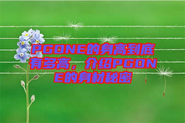 PGONE的身高到底有多高，介紹PGONE的身材秘密