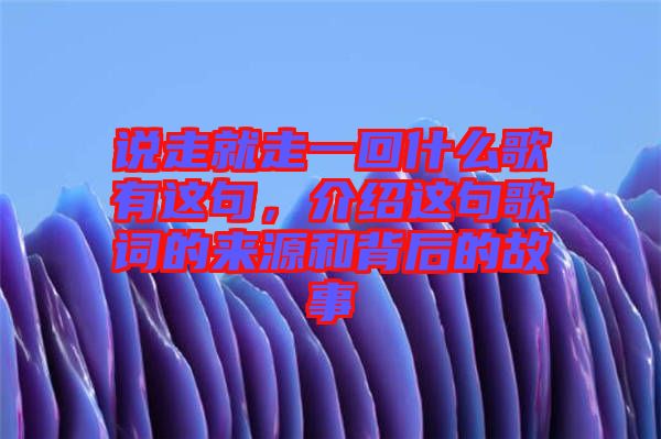 說走就走一回什么歌有這句，介紹這句歌詞的來源和背后的故事
