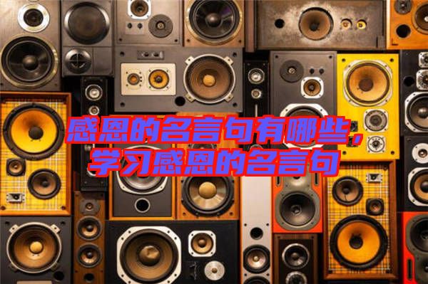 感恩的名言句有哪些，學(xué)習(xí)感恩的名言句