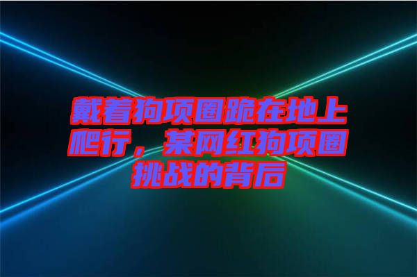 戴著狗項圈跪在地上爬行，某網(wǎng)紅狗項圈挑戰(zhàn)的背后
