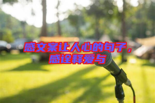 感文案讓人心的句子，感詮釋愛與