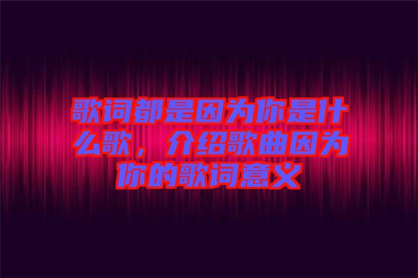 歌詞都是因為你是什么歌，介紹歌曲因為你的歌詞意義