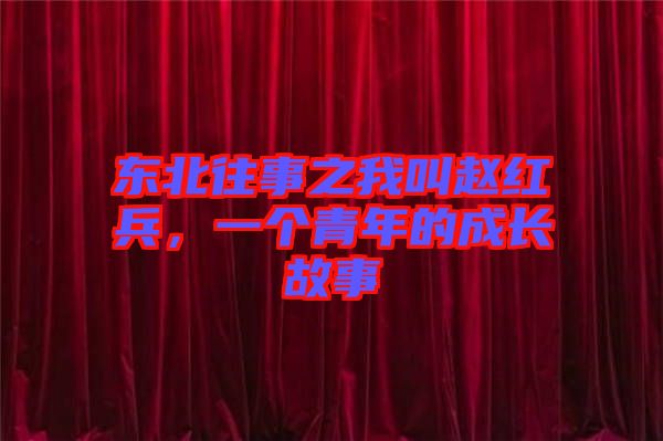 東北往事之我叫趙紅兵，一個青年的成長故事