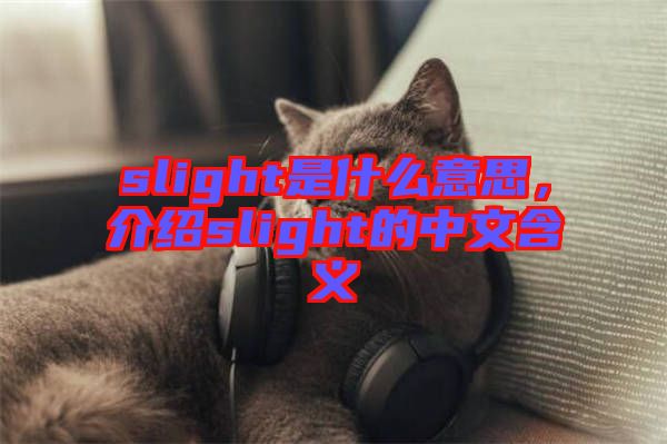 slight是什么意思，介紹slight的中文含義