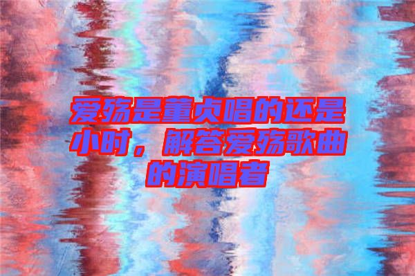 愛(ài)殤是董貞唱的還是小時(shí)，解答愛(ài)殤歌曲的演唱者